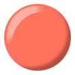 Orange Smoothie #503